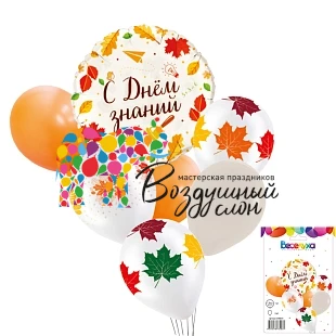 Воздушный набор шаров с днем знаний осень 7 в 1, 1 шт