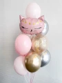 Воздушный звёздная кошечка