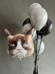 Воздушный котяра